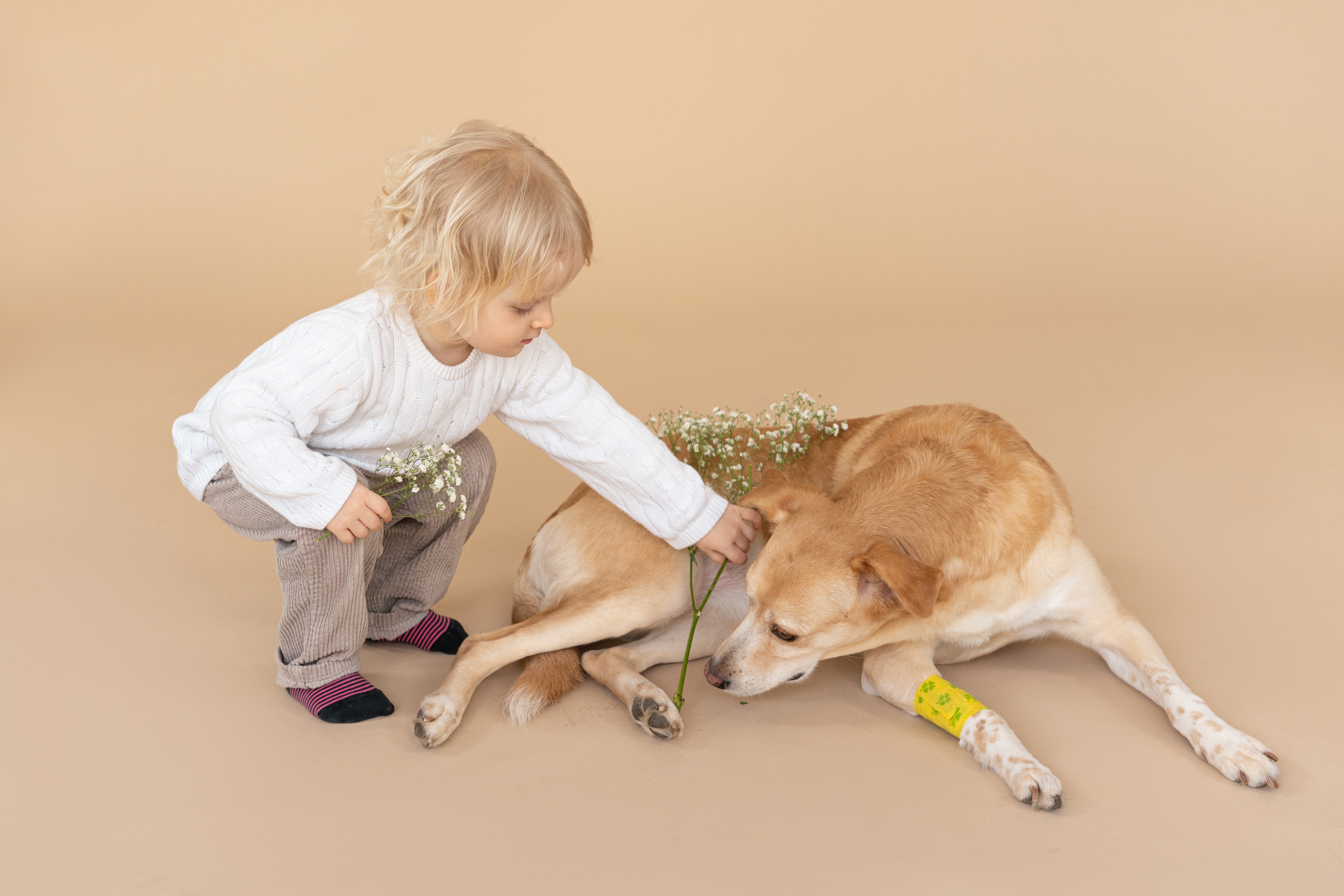 A child with a dog that has a bandage on its leg